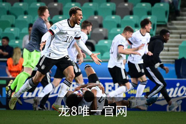 龙8唯一官网团队与体育内容